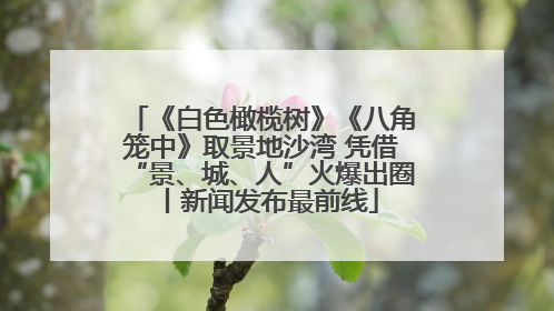 《白色橄榄树》《八角笼中》取景地沙湾 凭借“景、城、人”火爆出圈丨新闻发布最前线