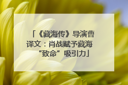 《藏海传》导演曹译文：肖战赋予藏海“致命”吸引力