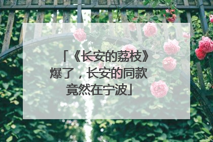 《长安的荔枝》爆了，长安的同款竟然在宁波