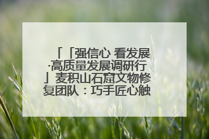 「强信心 看发展·高质量发展调研行」麦积山石窟文物修复团队：巧手匠心触摸“光阴的故事”
