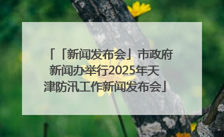 「新闻发布会」市政府新闻办举行2025年天津防汛工作新闻发布会