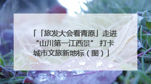 「旅发大会看青原」走进“山川第一江西景” 打卡城市文旅新地标（图）