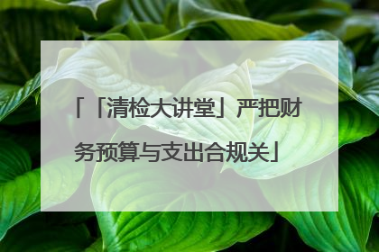 「清检大讲堂」严把财务预算与支出合规关