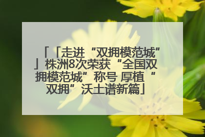 「走进“双拥模范城”」株洲8次荣获“全国双拥模范城”称号 厚植“双拥”沃土谱新篇