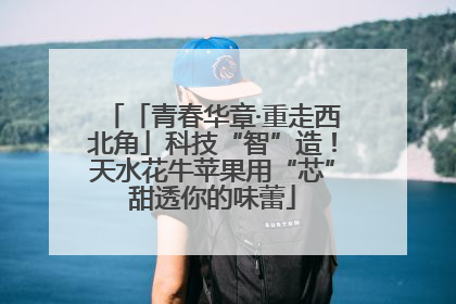「青春华章·重走西北角」科技“智”造！天水花牛苹果用“芯”甜透你的味蕾