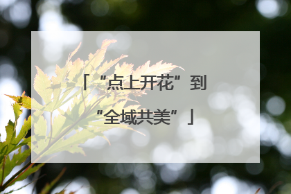 “点上开花”到“全域共美”