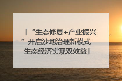 “生态修复+产业振兴”开启沙地治理新模式 生态经济实现双效益