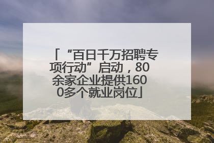 “百日千万招聘专项行动”启动，80余家企业提供1600多个就业岗位