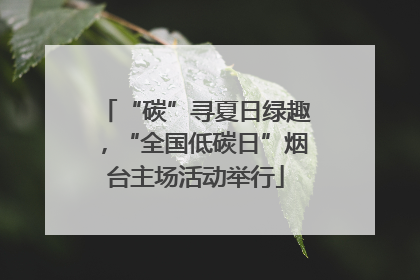 “碳”寻夏日绿趣，“全国低碳日”烟台主场活动举行