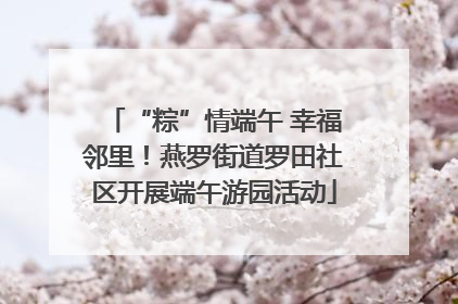 “粽”情端午 幸福邻里！燕罗街道罗田社区开展端午游园活动