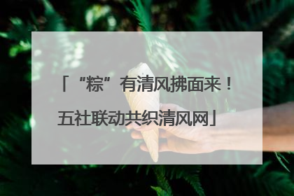 “粽”有清风拂面来！五社联动共织清风网