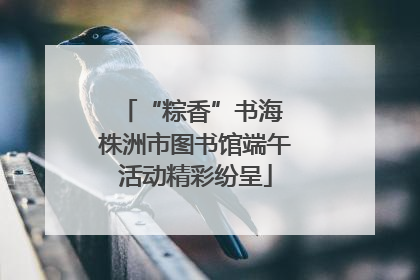“粽香”书海 株洲市图书馆端午活动精彩纷呈