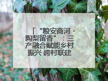 “粮安商河・陶梨留香”：三产融合赋能乡村振兴 跨村联建绘就共富画卷