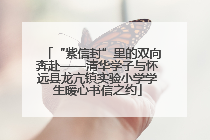 “紫信封”里的双向奔赴——清华学子与怀远县龙亢镇实验小学学生暖心书信之约
