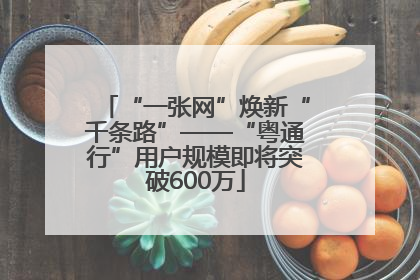“一张网”焕新“千条路”——“粤通行”用户规模即将突破600万