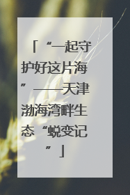 “一起守护好这片海”——天津渤海湾畔生态“蜕变记”