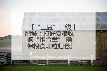“三夏”一线丨肥城：打好夏粮收购“组合拳” 确保粮食颗粒归仓