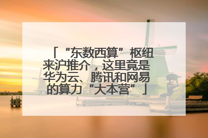 “东数西算”枢纽来沪推介，这里竟是华为云、腾讯和网易的算力“大本营”