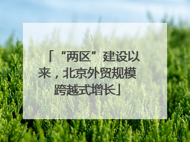 “两区”建设以来，北京外贸规模跨越式增长