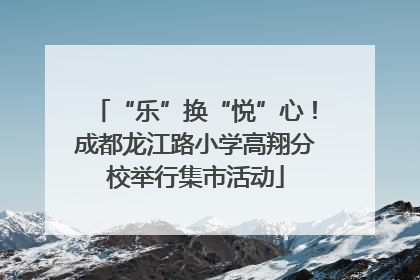“乐”换“悦”心！成都龙江路小学高翔分校举行集市活动