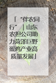 “伴农同行”｜山东农担公司助力菏泽巨野蛋鸡产业高质量发展