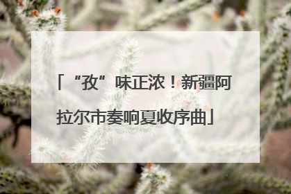 “孜”味正浓！新疆阿拉尔市奏响夏收序曲