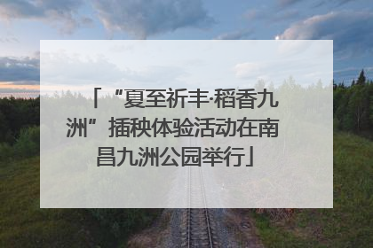 “夏至祈丰·稻香九洲”插秧体验活动在南昌九洲公园举行