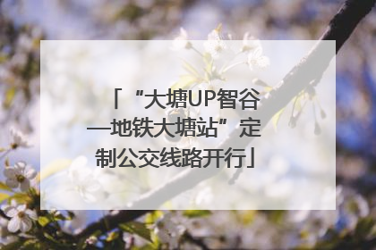 “大塘UP智谷—地铁大塘站”定制公交线路开行