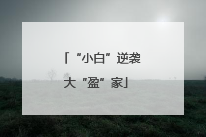“小白”逆袭大“盈”家