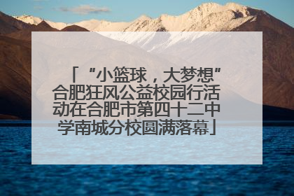 “小篮球，大梦想”合肥狂风公益校园行活动在合肥市第四十二中学南城分校圆满落幕