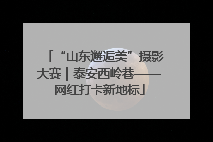 “山东邂逅美”摄影大赛｜泰安西岭巷——网红打卡新地标