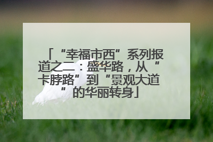 “幸福市西”系列报道之二：盛华路，从“卡脖路”到“景观大道”的华丽转身