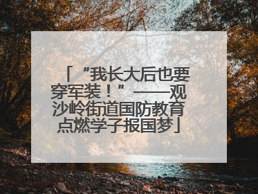 “我长大后也要穿军装！”——观沙岭街道国防教育点燃学子报国梦