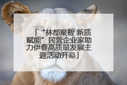 “林都聚智 新质赋能”民营企业家助力伊春高质量发展主题活动开幕