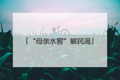 “母亲水窖”解民渴