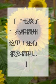 “毛孩子”亮相福州这里！还有很多福利……