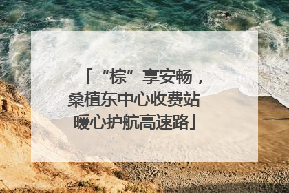 “棕”享安畅，桑植东中心收费站暖心护航高速路