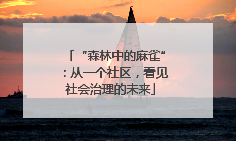 “森林中的麻雀”：从一个社区，看见社会治理的未来