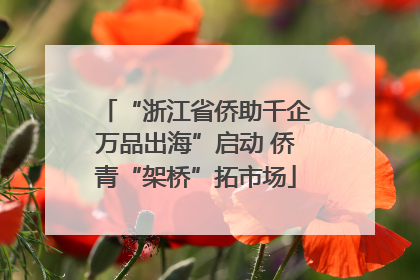 “浙江省侨助千企万品出海”启动 侨青“架桥”拓市场