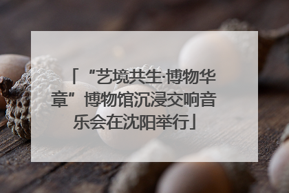 “艺境共生·博物华章”博物馆沉浸交响音乐会在沈阳举行