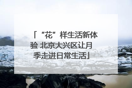 “花”样生活新体验 北京大兴区让月季走进日常生活