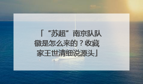 “苏超”南京队队徽是怎么来的？收藏家王世清细说源头