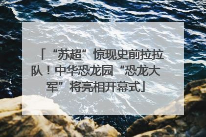“苏超”惊现史前拉拉队！中华恐龙园“恐龙大军”将亮相开幕式