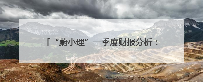 “蔚小理”一季度财报分析：理想盈利稳健 小鹏亏损收窄