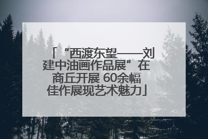 “西渡东望——刘建中油画作品展”在商丘开展 60余幅佳作展现艺术魅力