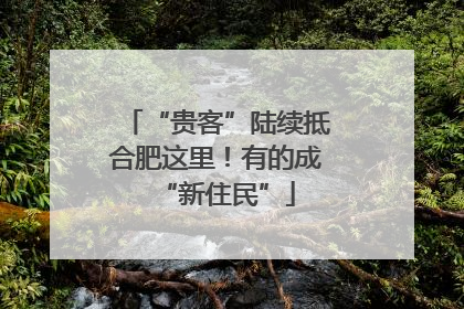 “贵客”陆续抵合肥这里！有的成“新住民”
