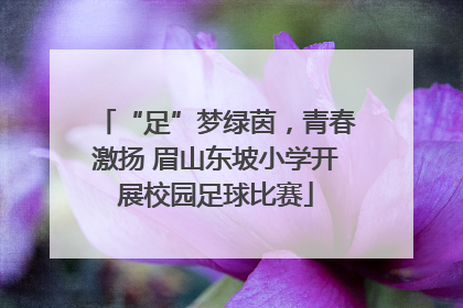 “足”梦绿茵，青春激扬 眉山东坡小学开展校园足球比赛