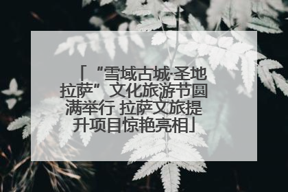 “雪域古城·圣地拉萨”文化旅游节圆满举行 拉萨文旅提升项目惊艳亮相