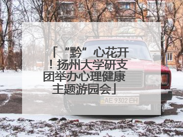 “黔”心花开！扬州大学研支团举办心理健康主题游园会