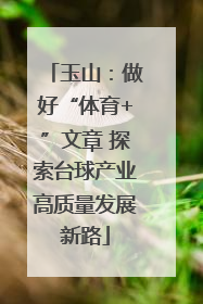 玉山：做好“体育+”文章 探索台球产业高质量发展新路